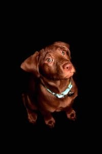 FaithHitchOffspring4