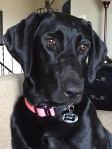 Rylee best