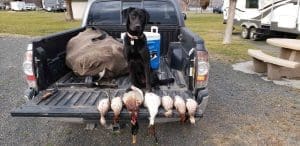 Sadie1 scaled