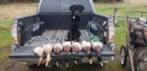 Sadie3 scaled