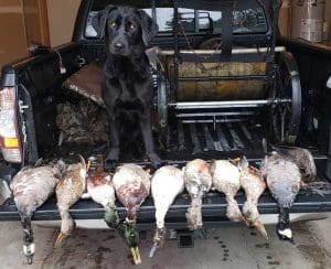 Sadie8