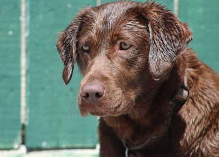 lady GraceGirl new 3