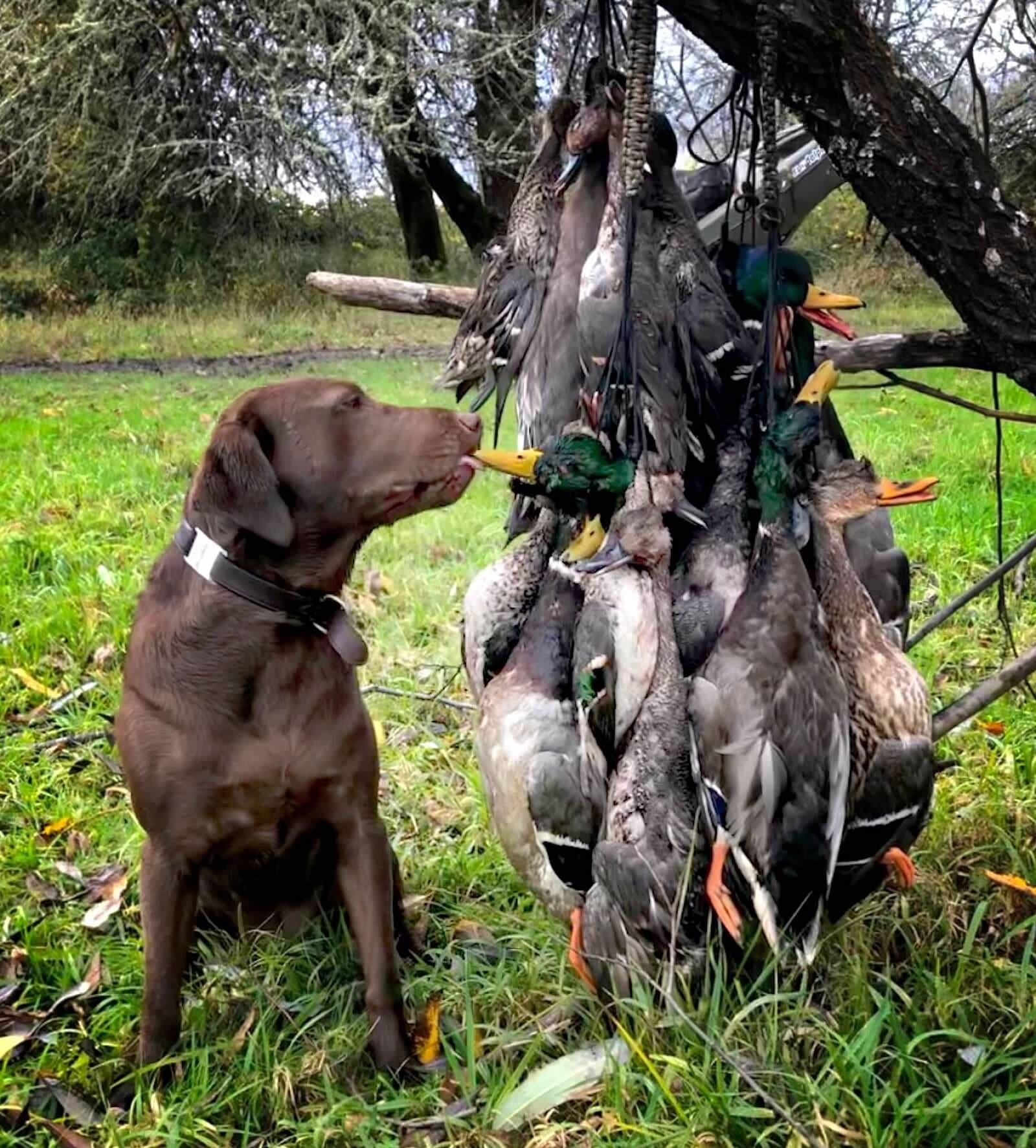 IMG 4500 e1736398491565